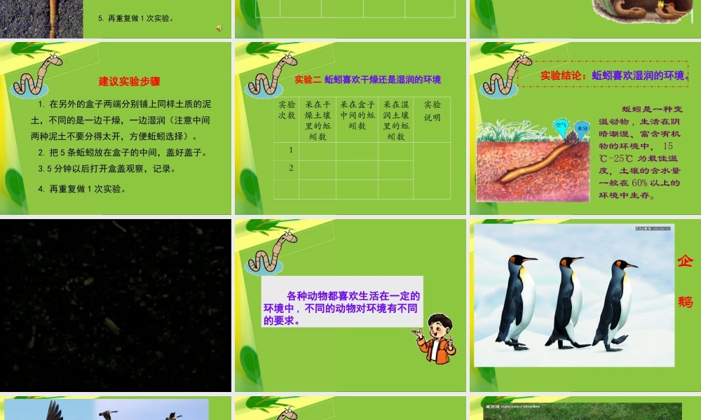 教科小学科学五上《1.4、蚯蚓的选择》PPT课件(1)【加微信公众号 jiaoxuewuyou 九折优惠 qq 1119139686】.ppt