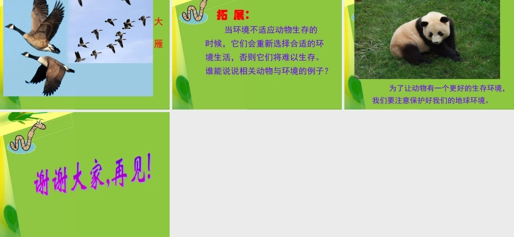 教科小学科学五上《1.4、蚯蚓的选择》PPT课件(1)【加微信公众号 jiaoxuewuyou 九折优惠 qq 1119139686】.ppt