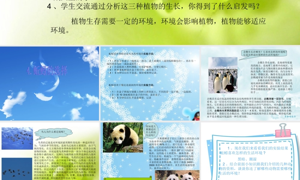 教科小学科学五上《1.4、蚯蚓的选择》PPT课件(8)【加微信公众号 jiaoxuewuyou 九折优惠 qq 1119139686】.ppt