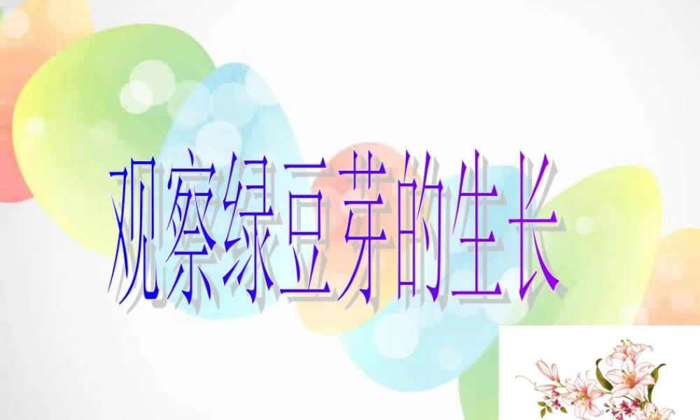 教科小学科学五上《1.3、观察绿豆芽的生长》PPT课件(7)【加微信公众号 jiaoxuewuyou 九折优惠 qq 1119139686】.ppt