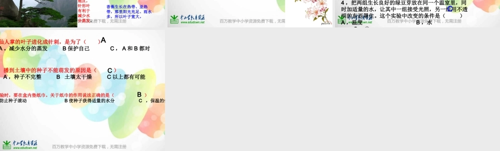 教科小学科学五上《1.3、观察绿豆芽的生长》PPT课件(7)【加微信公众号 jiaoxuewuyou 九折优惠 qq 1119139686】.ppt