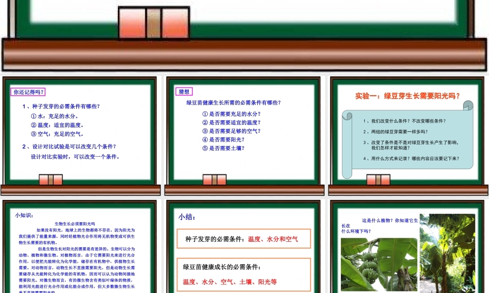 教科小学科学五上《1.3、观察绿豆芽的生长》PPT课件(8)【加微信公众号 jiaoxuewuyou 九折优惠 qq 1119139686】.ppt