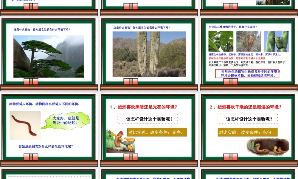 教科小学科学五上《1.3、观察绿豆芽的生长》PPT课件(8)【加微信公众号 jiaoxuewuyou 九折优惠 qq 1119139686】.ppt