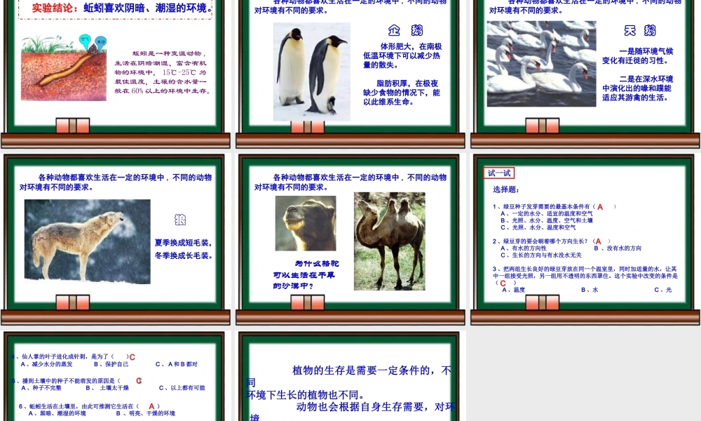 教科小学科学五上《1.3、观察绿豆芽的生长》PPT课件(8)【加微信公众号 jiaoxuewuyou 九折优惠 qq 1119139686】.ppt