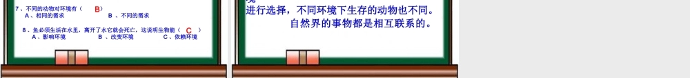 教科小学科学五上《1.3、观察绿豆芽的生长》PPT课件(8)【加微信公众号 jiaoxuewuyou 九折优惠 qq 1119139686】.ppt