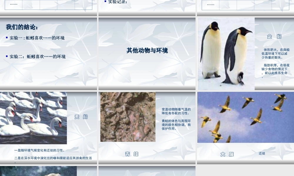 教科小学科学五上《1.4、蚯蚓的选择》PPT课件(6)【加微信公众号 jiaoxuewuyou 九折优惠 qq 1119139686】.ppt