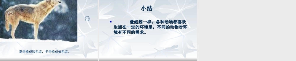 教科小学科学五上《1.4、蚯蚓的选择》PPT课件(6)【加微信公众号 jiaoxuewuyou 九折优惠 qq 1119139686】.ppt