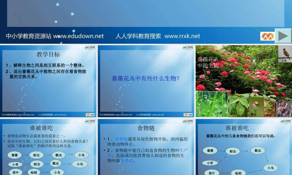 教科小学科学五上《1.5、食物链和食物网》PPT课件(2)【加微信公众号 jiaoxuewuyou 九折优惠 qq 1119139686】.ppt