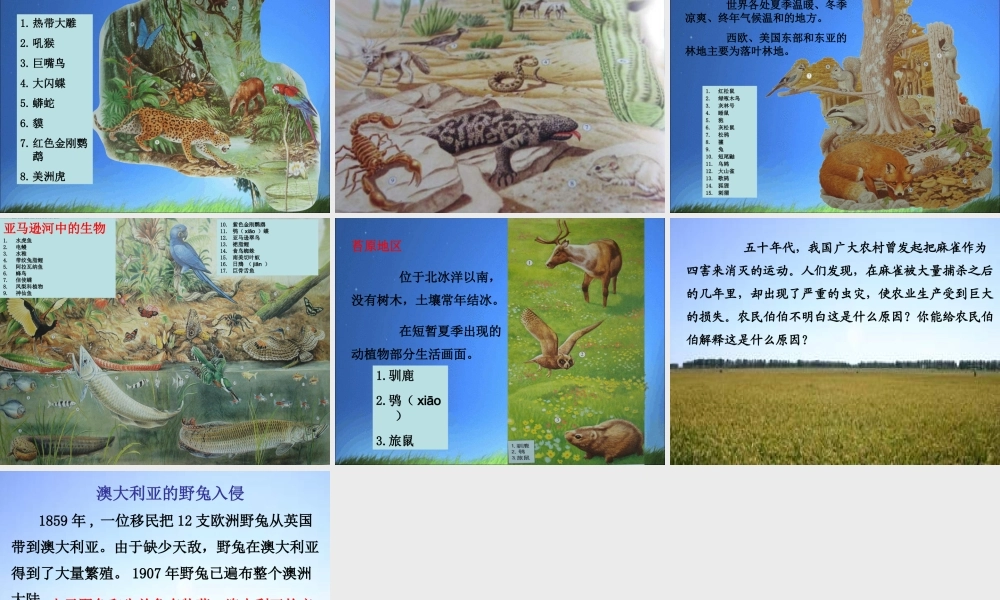 教科小学科学五上《1.5、食物链和食物网》PPT课件(5)【加微信公众号 jiaoxuewuyou 九折优惠 qq 1119139686】.ppt