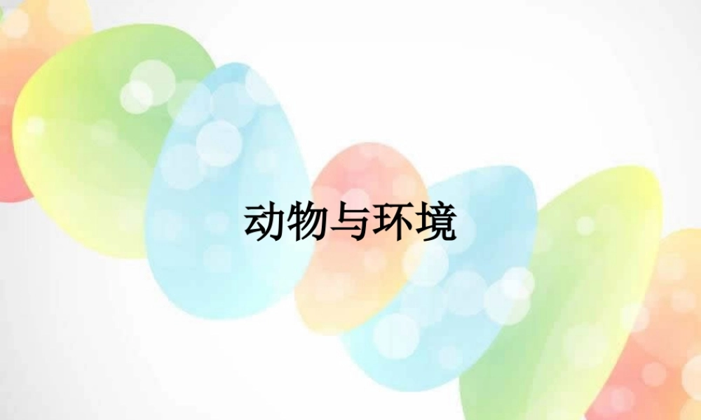 教科小学科学五上《1.4、蚯蚓的选择》PPT课件(3)【加微信公众号 jiaoxuewuyou 九折优惠 qq 1119139686】.ppt