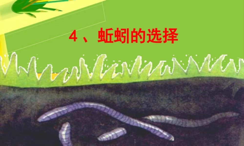 教科小学科学五上《1.4、蚯蚓的选择》PPT课件(11)【加微信公众号 jiaoxuewuyou 九折优惠 qq 1119139686】.ppt