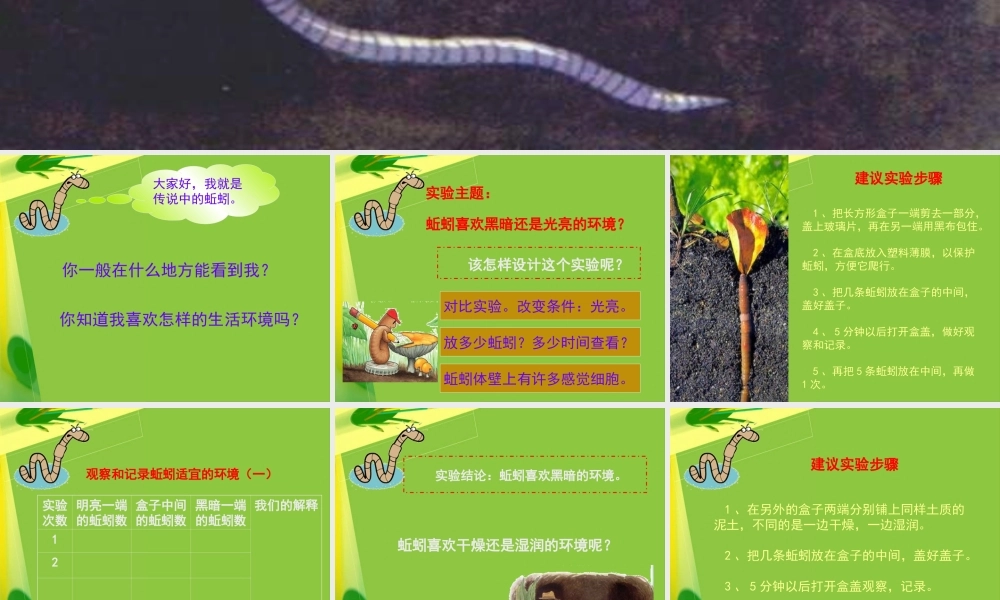 教科小学科学五上《1.4、蚯蚓的选择》PPT课件(11)【加微信公众号 jiaoxuewuyou 九折优惠 qq 1119139686】.ppt