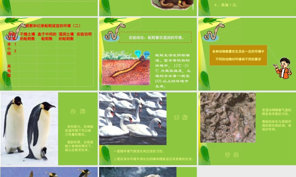 教科小学科学五上《1.4、蚯蚓的选择》PPT课件(11)【加微信公众号 jiaoxuewuyou 九折优惠 qq 1119139686】.ppt