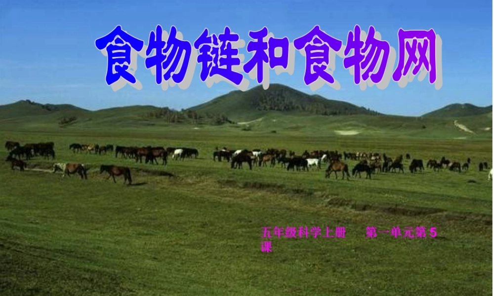 教科小学科学五上《1.5、食物链和食物网》PPT课件(4)【加微信公众号 jiaoxuewuyou 九折优惠 qq 1119139686】.ppt