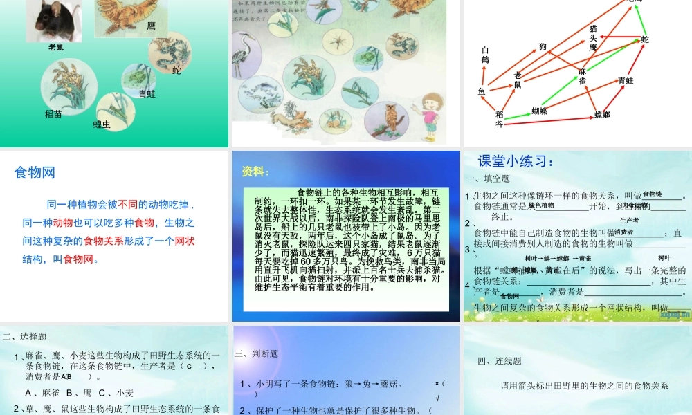 教科小学科学五上《1.5、食物链和食物网》PPT课件(4)【加微信公众号 jiaoxuewuyou 九折优惠 qq 1119139686】.ppt