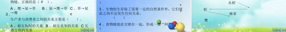 教科小学科学五上《1.5、食物链和食物网》PPT课件(4)【加微信公众号 jiaoxuewuyou 九折优惠 qq 1119139686】.ppt