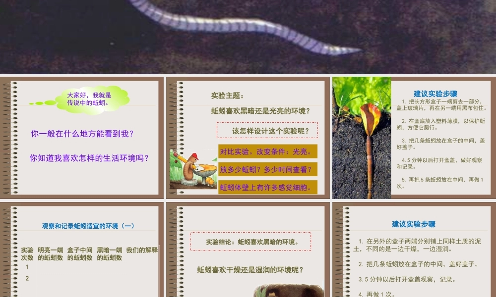 教科小学科学五上《1.4、蚯蚓的选择》PPT课件(5)【加微信公众号 jiaoxuewuyou 九折优惠 qq 1119139686】.ppt