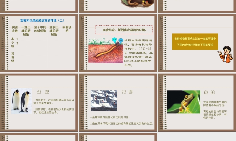 教科小学科学五上《1.4、蚯蚓的选择》PPT课件(5)【加微信公众号 jiaoxuewuyou 九折优惠 qq 1119139686】.ppt