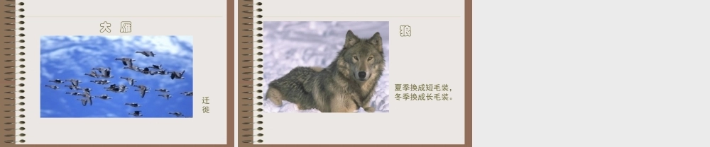 教科小学科学五上《1.4、蚯蚓的选择》PPT课件(5)【加微信公众号 jiaoxuewuyou 九折优惠 qq 1119139686】.ppt