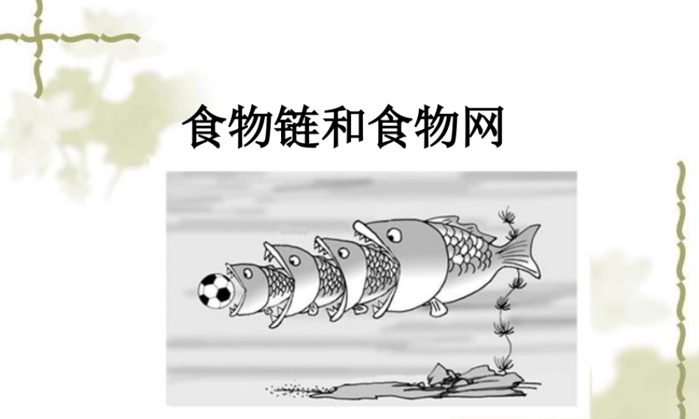 教科小学科学五上《1.5、食物链和食物网》PPT课件(1)【加微信公众号 jiaoxuewuyou 九折优惠 qq 1119139686】.ppt