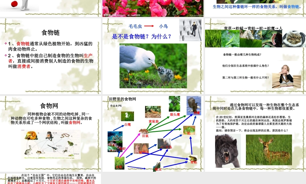 教科小学科学五上《1.5、食物链和食物网》PPT课件(1)【加微信公众号 jiaoxuewuyou 九折优惠 qq 1119139686】.ppt