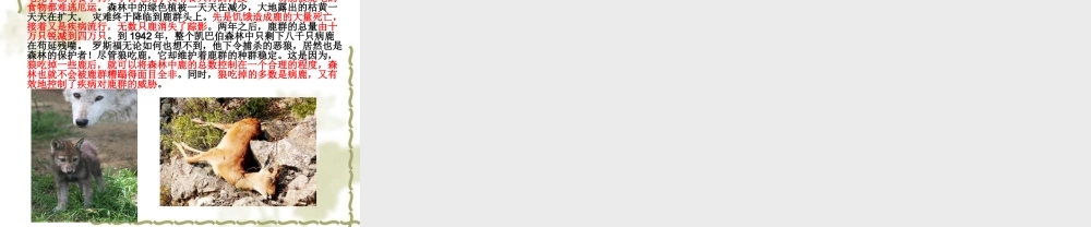 教科小学科学五上《1.5、食物链和食物网》PPT课件(1)【加微信公众号 jiaoxuewuyou 九折优惠 qq 1119139686】.ppt