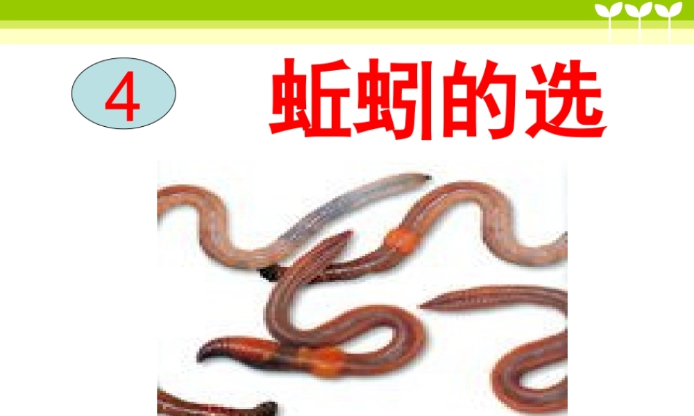 教科小学科学五上《1.4、蚯蚓的选择》PPT课件(4)【加微信公众号 jiaoxuewuyou 九折优惠 qq 1119139686】.ppt