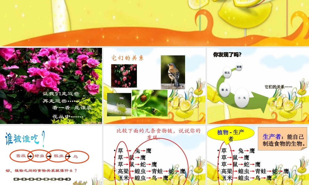 教科小学科学五上《1.5、食物链和食物网》PPT课件(10)【加微信公众号 jiaoxuewuyou 九折优惠 qq 1119139686】.ppt