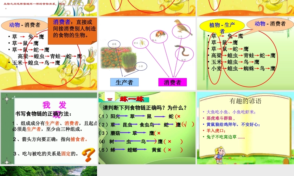 教科小学科学五上《1.5、食物链和食物网》PPT课件(10)【加微信公众号 jiaoxuewuyou 九折优惠 qq 1119139686】.ppt