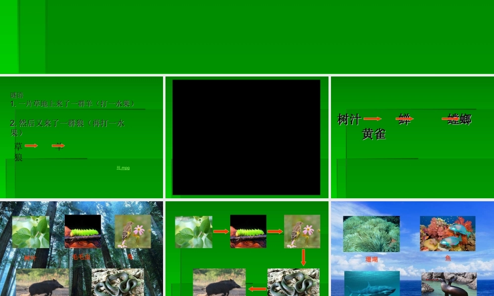 教科小学科学五上《1.5、食物链和食物网》PPT课件(3)【加微信公众号 jiaoxuewuyou 九折优惠 qq 1119139686】.ppt