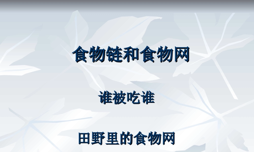 教科小学科学五上《1.5、食物链和食物网》PPT课件(13)【加微信公众号 jiaoxuewuyou 九折优惠 qq 1119139686】.ppt