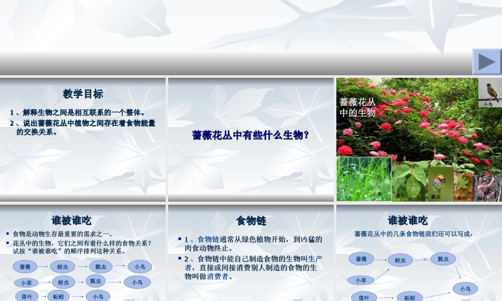 教科小学科学五上《1.5、食物链和食物网》PPT课件(13)【加微信公众号 jiaoxuewuyou 九折优惠 qq 1119139686】.ppt