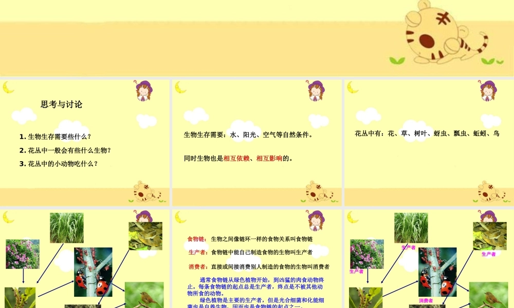 教科小学科学五上《1.5、食物链和食物网》PPT课件(6)【加微信公众号 jiaoxuewuyou 九折优惠 qq 1119139686】.ppt