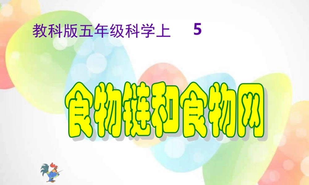 教科小学科学五上《1.5、食物链和食物网》PPT课件(16)【加微信公众号 jiaoxuewuyou 九折优惠 qq 1119139686】.ppt
