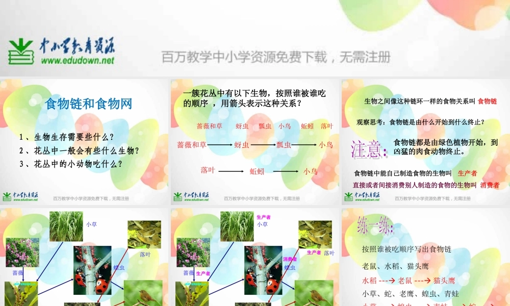 教科小学科学五上《1.5、食物链和食物网》PPT课件(16)【加微信公众号 jiaoxuewuyou 九折优惠 qq 1119139686】.ppt