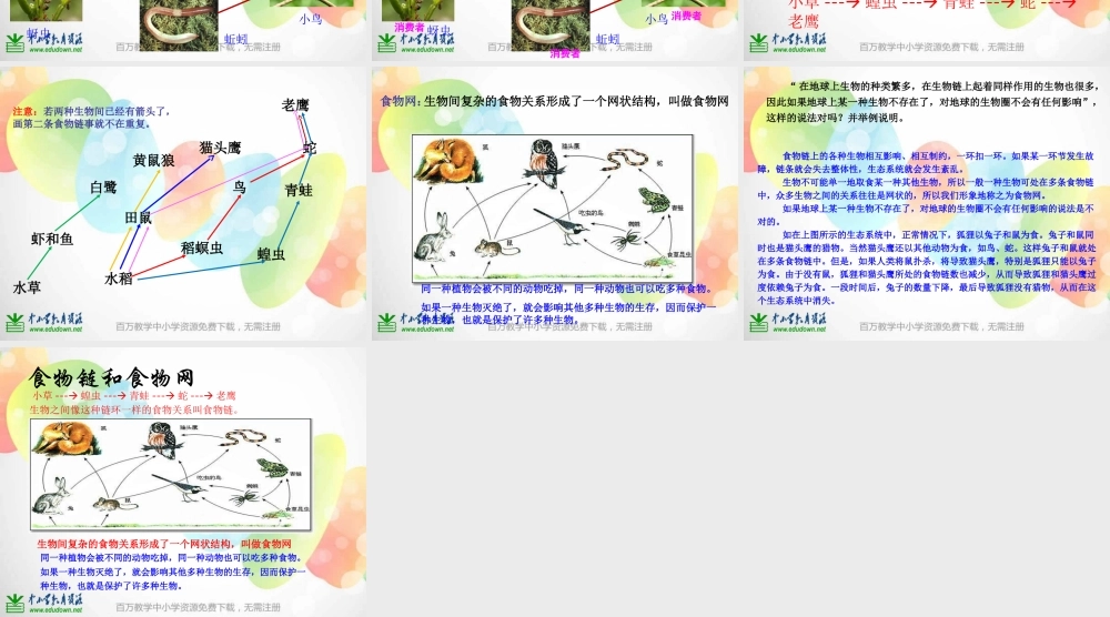教科小学科学五上《1.5、食物链和食物网》PPT课件(16)【加微信公众号 jiaoxuewuyou 九折优惠 qq 1119139686】.ppt