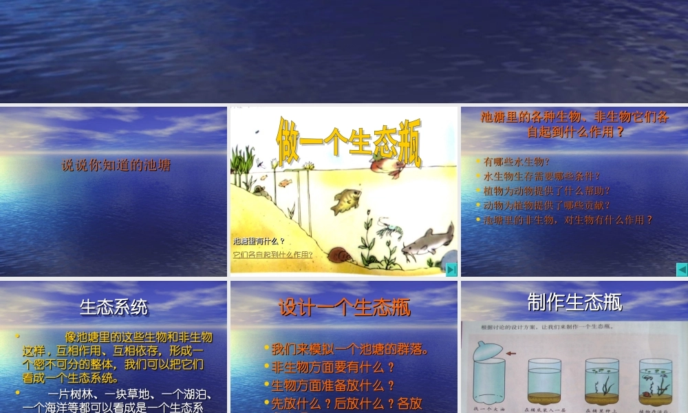 教科小学科学五上《1.6、做一个生态瓶》PPT课件(7)【加微信公众号 jiaoxuewuyou 九折优惠 qq 1119139686】.ppt