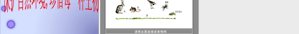 教科小学科学五上《1.5、食物链和食物网》PPT课件(8)【加微信公众号 jiaoxuewuyou 九折优惠 qq 1119139686】.ppt