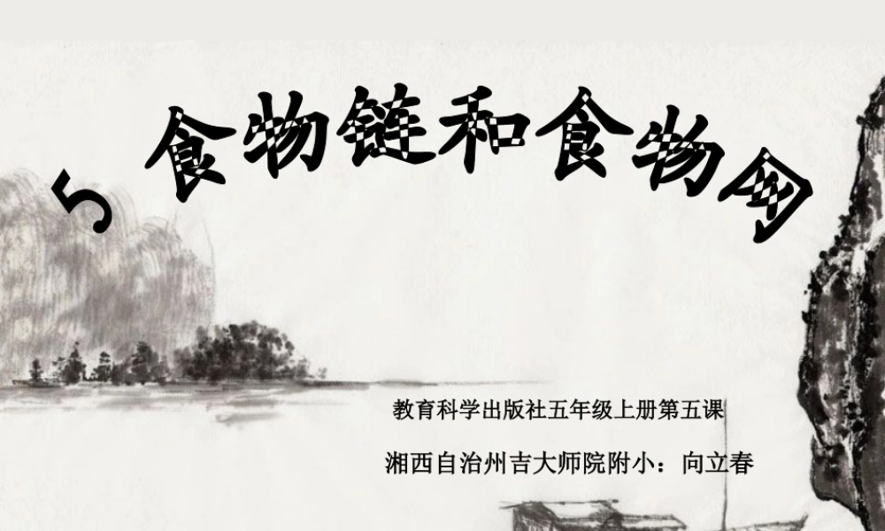 教科小学科学五上《1.5、食物链和食物网》PPT课件(12)【加微信公众号 jiaoxuewuyou 九折优惠 qq 1119139686】.ppt