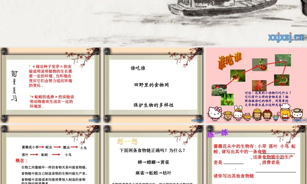 教科小学科学五上《1.5、食物链和食物网》PPT课件(12)【加微信公众号 jiaoxuewuyou 九折优惠 qq 1119139686】.ppt