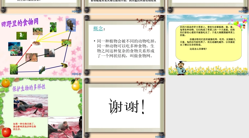 教科小学科学五上《1.5、食物链和食物网》PPT课件(12)【加微信公众号 jiaoxuewuyou 九折优惠 qq 1119139686】.ppt