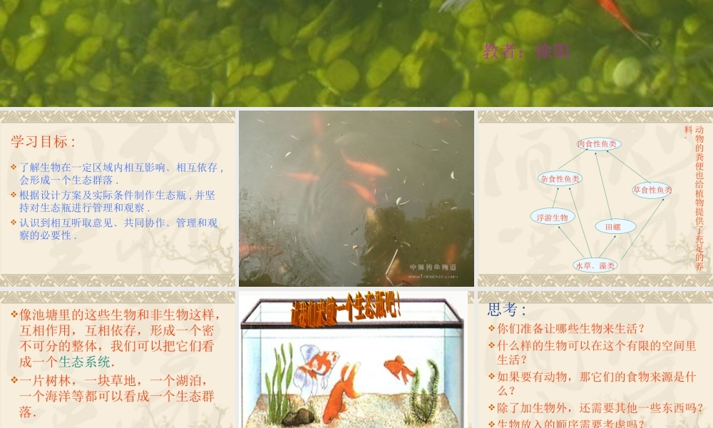 教科小学科学五上《1.6、做一个生态瓶》PPT课件(3)【加微信公众号 jiaoxuewuyou 九折优惠 qq 1119139686】.ppt