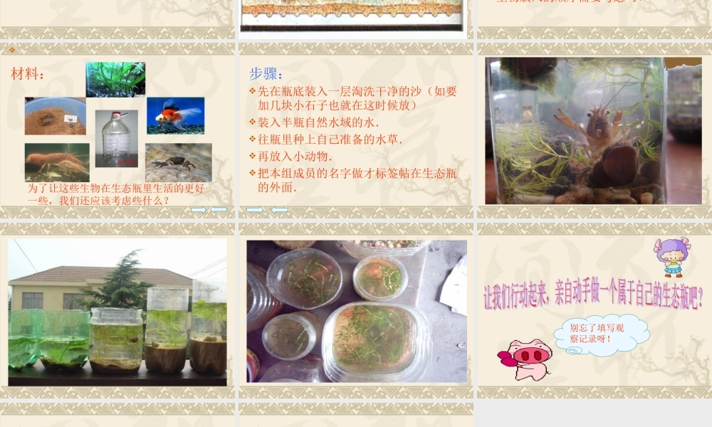 教科小学科学五上《1.6、做一个生态瓶》PPT课件(3)【加微信公众号 jiaoxuewuyou 九折优惠 qq 1119139686】.ppt