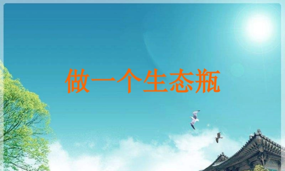 教科小学科学五上《1.6、做一个生态瓶》PPT课件(6)【加微信公众号 jiaoxuewuyou 九折优惠 qq 1119139686】.ppt