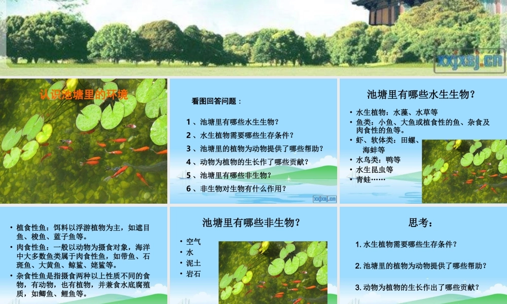 教科小学科学五上《1.6、做一个生态瓶》PPT课件(6)【加微信公众号 jiaoxuewuyou 九折优惠 qq 1119139686】.ppt