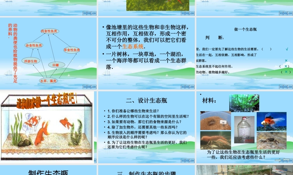 教科小学科学五上《1.6、做一个生态瓶》PPT课件(6)【加微信公众号 jiaoxuewuyou 九折优惠 qq 1119139686】.ppt