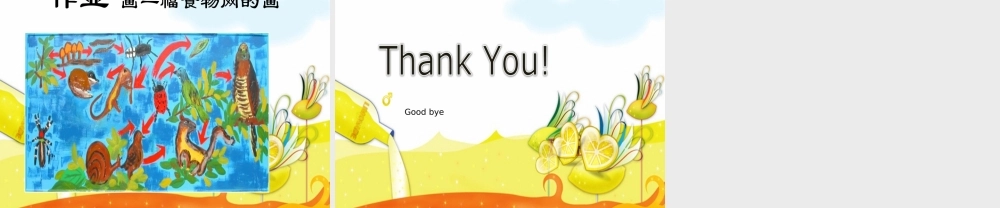 教科小学科学五上《1.5、食物链和食物网》PPT课件(9)【加微信公众号 jiaoxuewuyou 九折优惠 qq 1119139686】.ppt