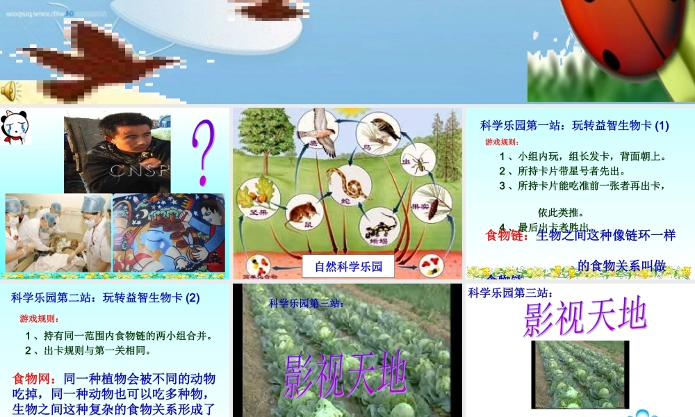 教科小学科学五上《1.5、食物链和食物网》PPT课件(7)【加微信公众号 jiaoxuewuyou 九折优惠 qq 1119139686】.ppt