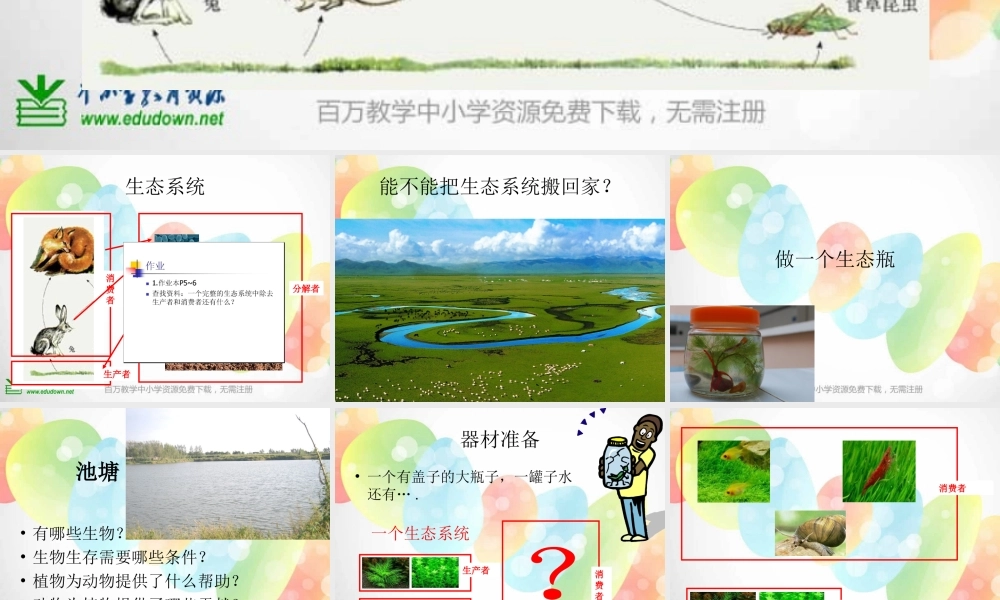 教科小学科学五上《1.6、做一个生态瓶》PPT课件(8)【加微信公众号 jiaoxuewuyou 九折优惠 qq 1119139686】.ppt