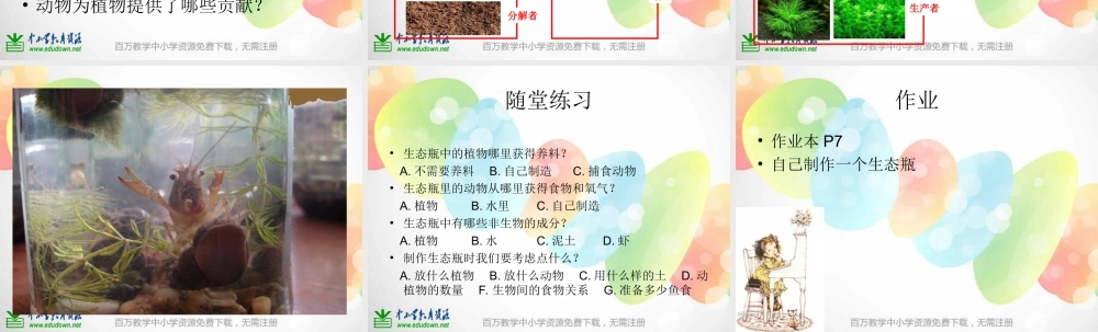 教科小学科学五上《1.6、做一个生态瓶》PPT课件(8)【加微信公众号 jiaoxuewuyou 九折优惠 qq 1119139686】.ppt